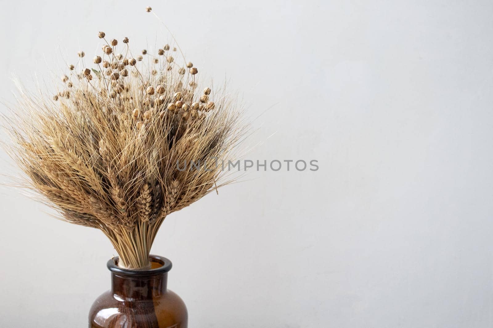 A simple brown vase with a bouquet of wheat. Minimalistic concept. Place for your text. White background. Home decor. Minimalism and simplicity.