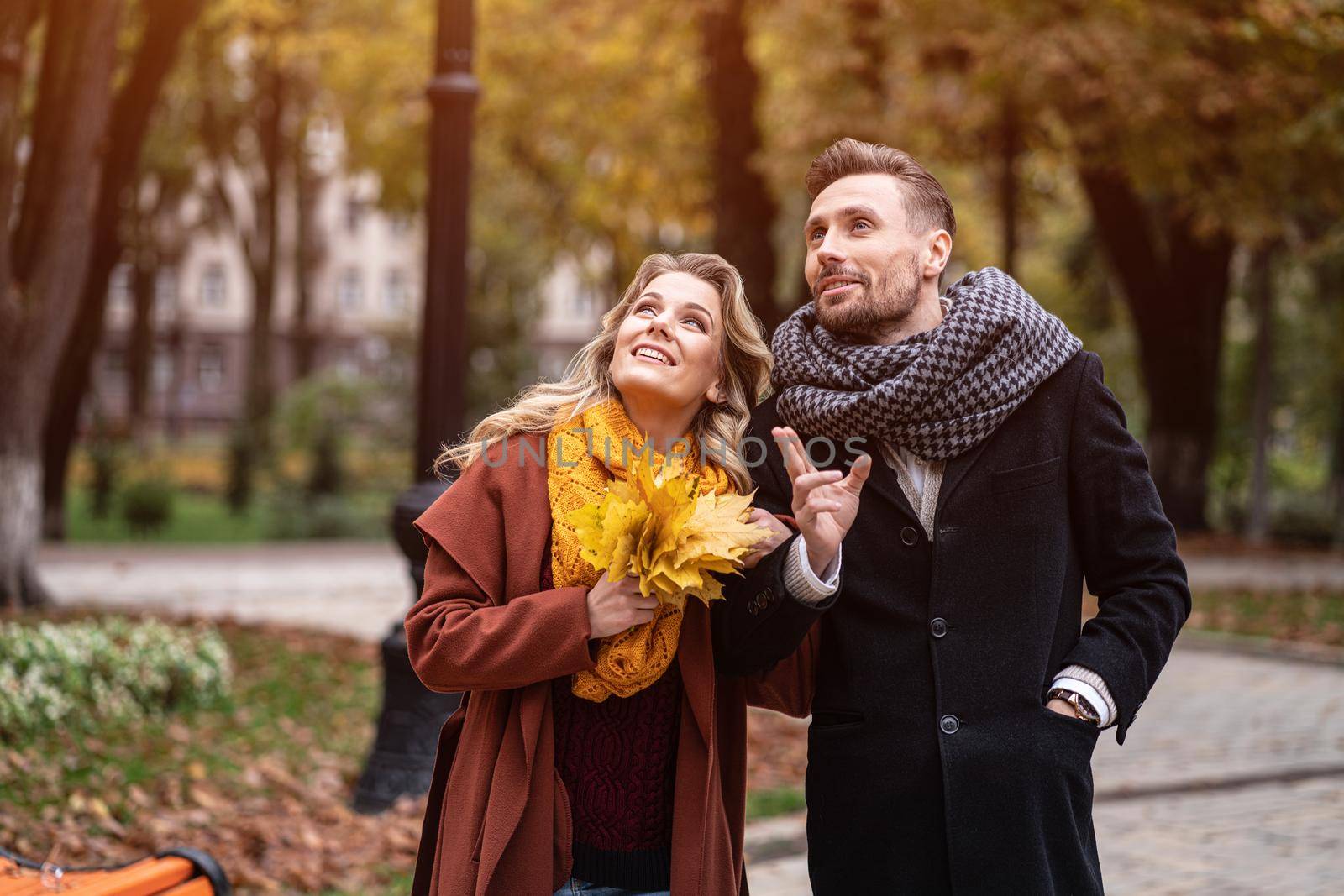 A couple on a date looking up away walking in the autumn park holding hands. Outdoor shot of a young couple in love walking along a path through a autumn park. Tinted image.