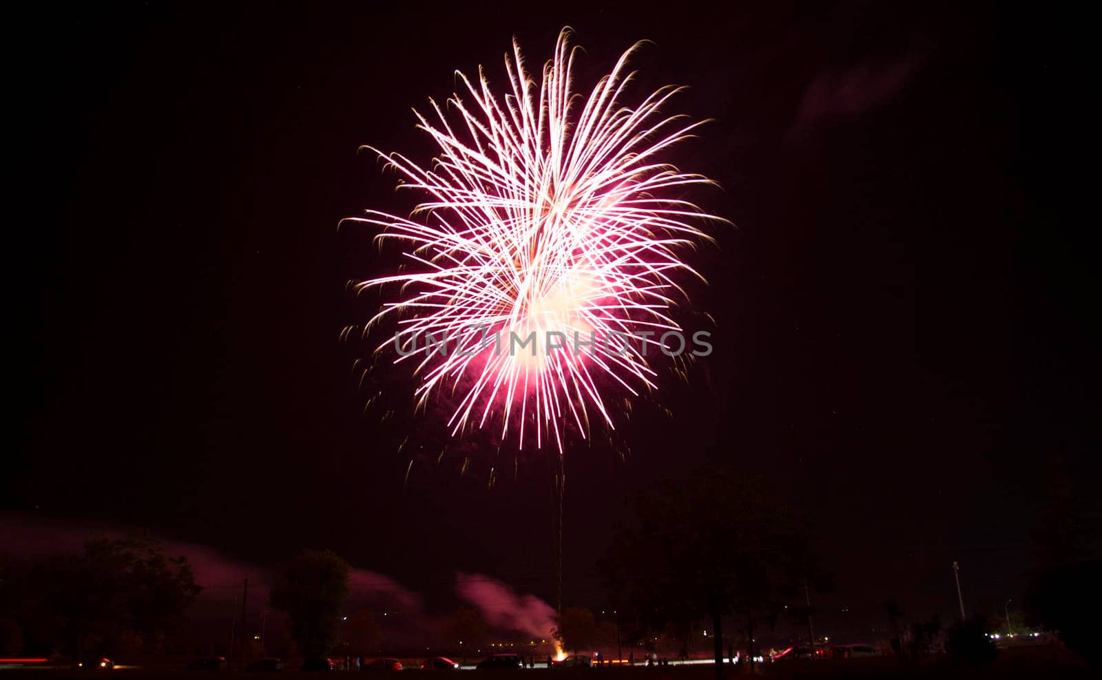 beautiful fireworks in black sky. High quality photo