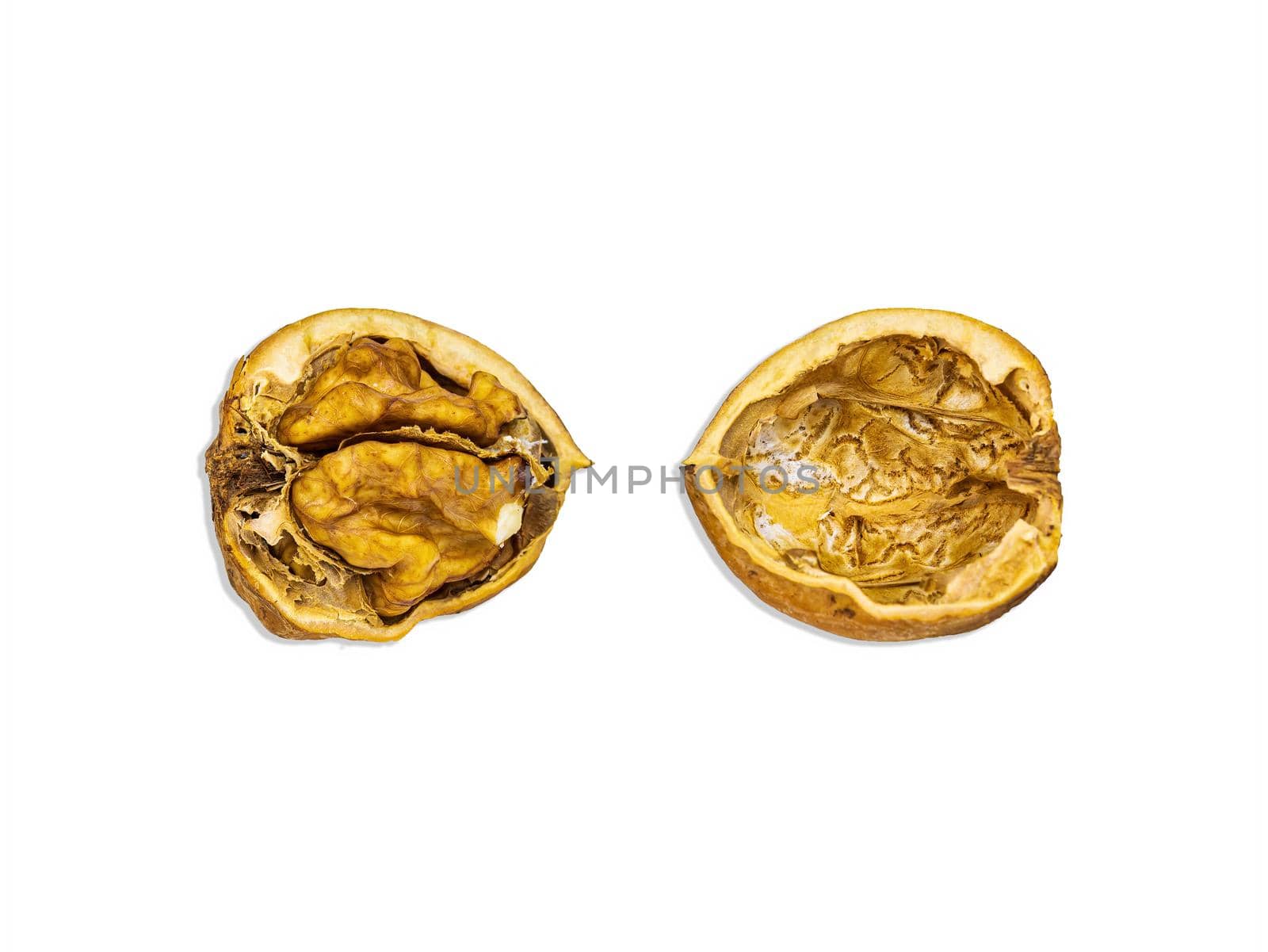 Two halves of a split walnut isolated on a white background. Juglans regia. Walnut shell. Healthy food. Iodine in nuts. Nut core. Vegetarian food. Culinary ingredient. White background.