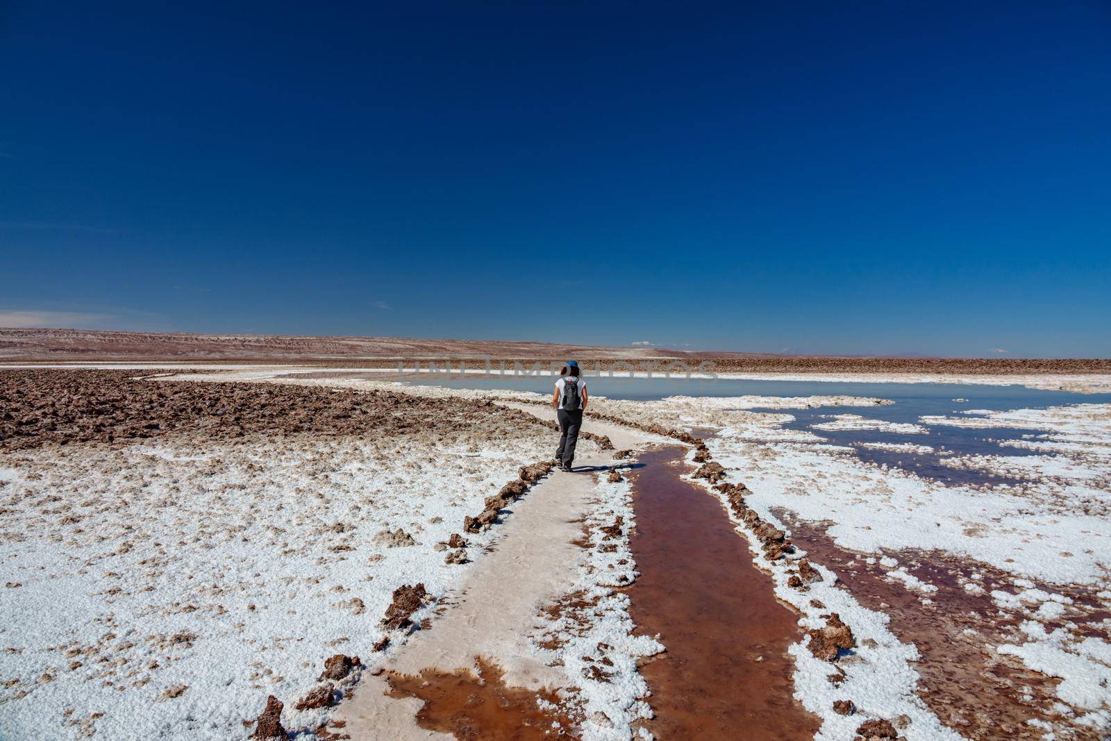 Rear view of walkin walking along salar in Baltinache Lagoons, Atacama