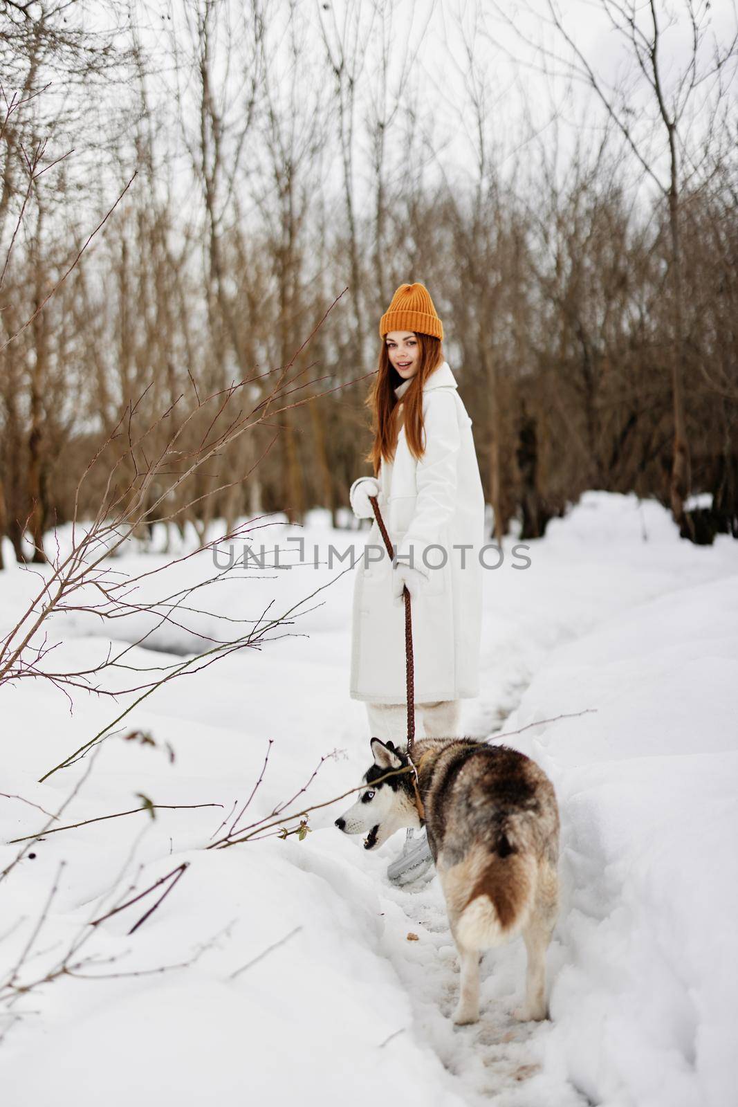 Happy young woman with a purebred dog for a walk in winter nature winter holidays by SHOTPRIME