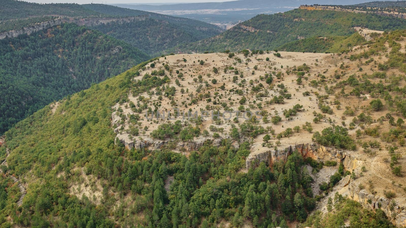 Top view of Plateau with trees, long shot