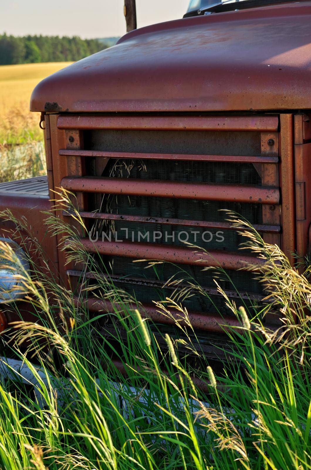Close up of Front Grill of Abandoned Vintage and Rusty Truck in a Field on a Sunny Day. High quality photo