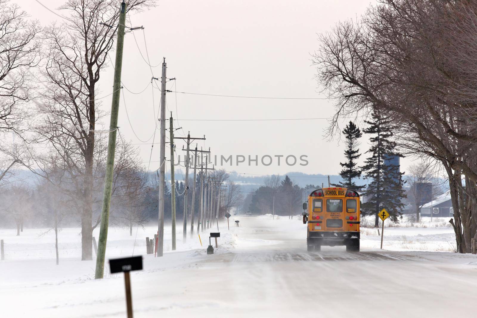 School Bus Travelling Down a Country Road with Snowdrifts and Blowing Snow in Winter by markvandam