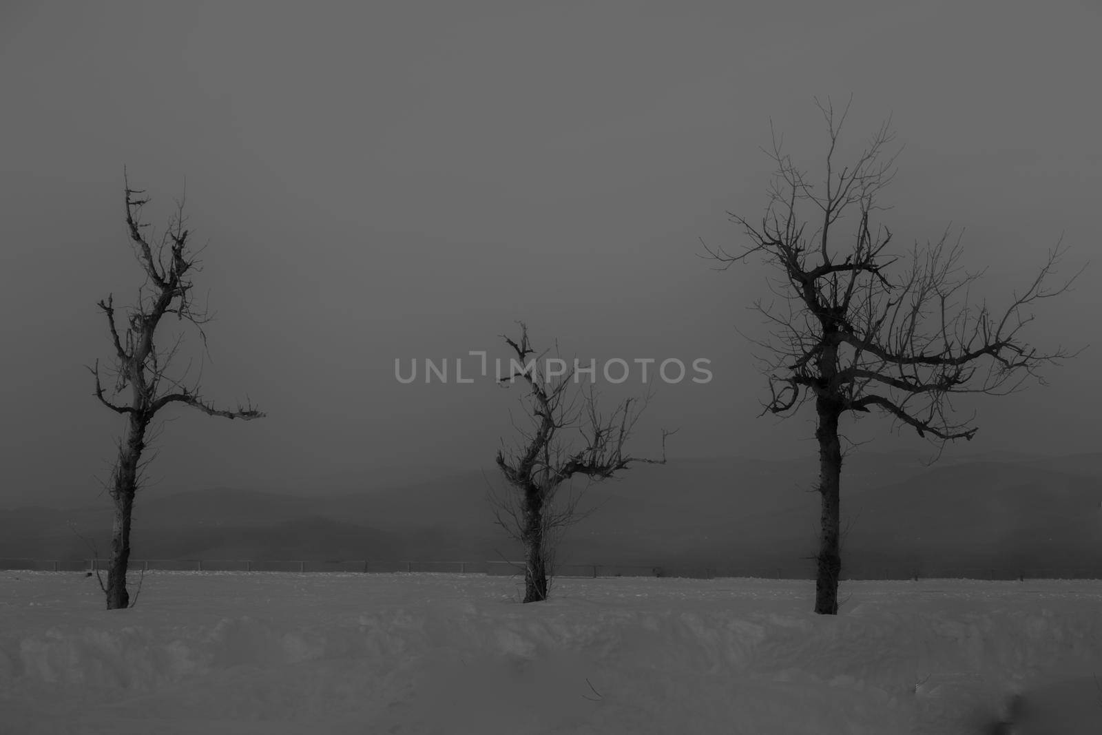 The main Christian holiday is Easter, the resurrection of the Lord Jesus Christ. Photos of three leafless trees with a dramatic sky at the top of Wasserkuppe Mountain in Hesse Germany resemble three crosses on Mount Calvary in Jerusalem Israel. High quality photo