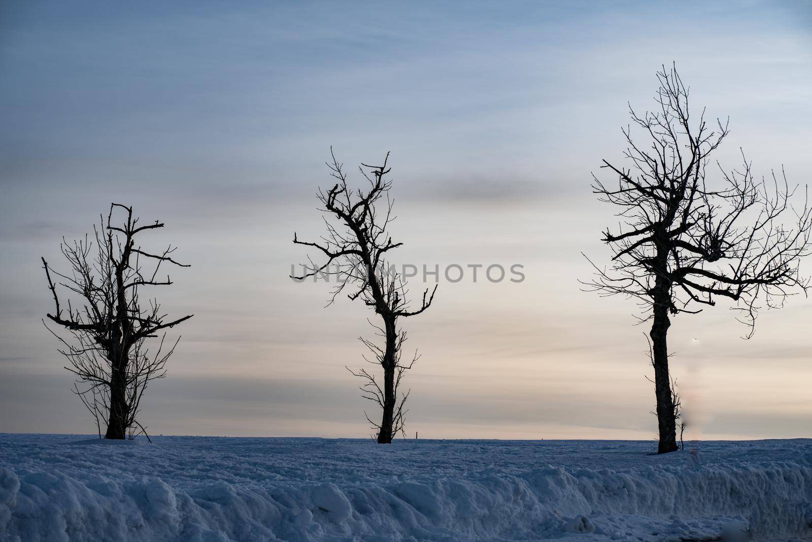 The main Christian holiday is Easter, the resurrection of the Lord Jesus Christ. Photos of three leafless trees with a dramatic sky at the top of Wasserkuppe Mountain in Hesse Germany resemble three crosses on Mount Calvary in Jerusalem Israel by Costin