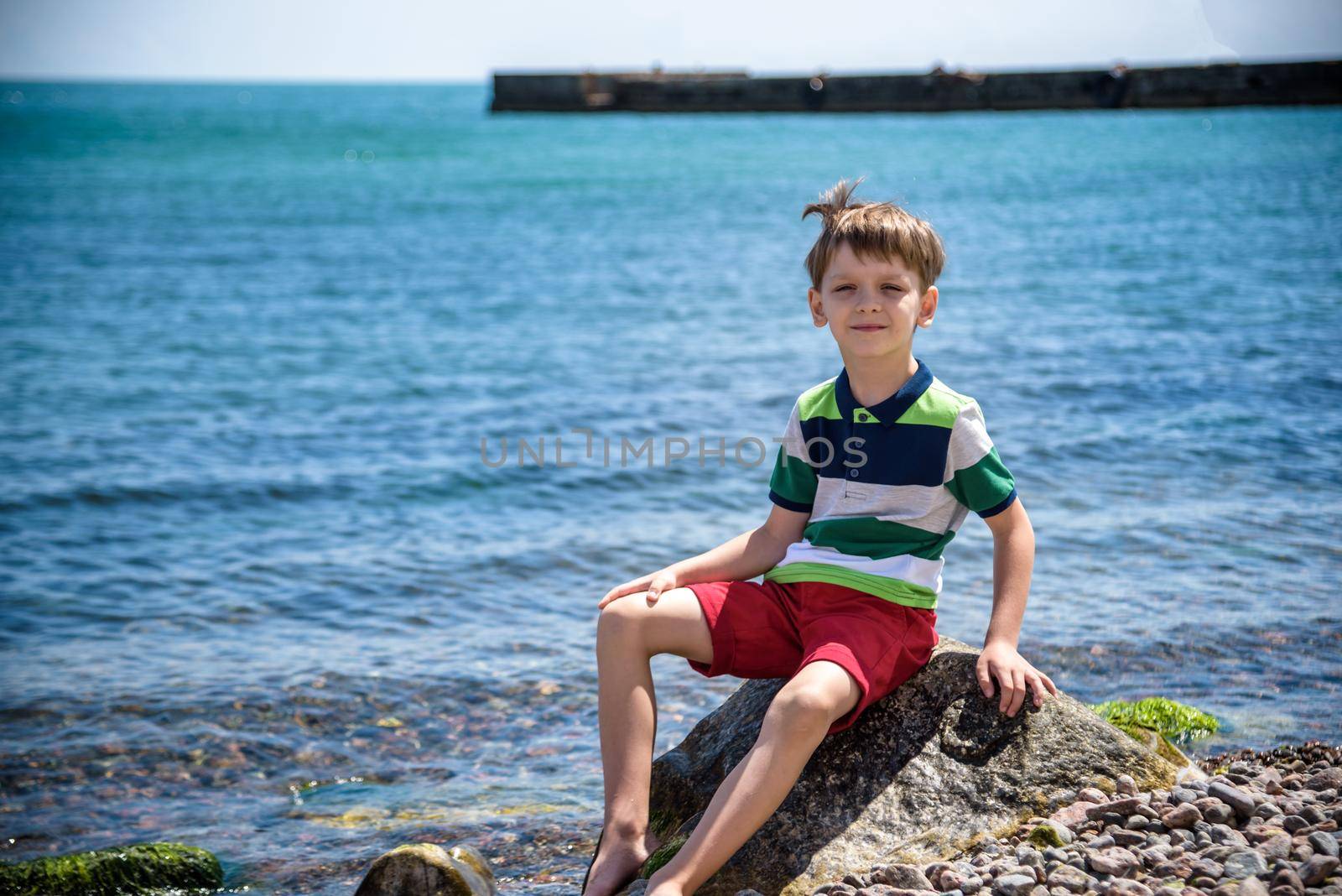 Caucasian baby boy is sitting at the beach. Cute child is playing with roks and shellfishes muscle-fish on the sand in summer day. Copyspace, close up, outdoor.