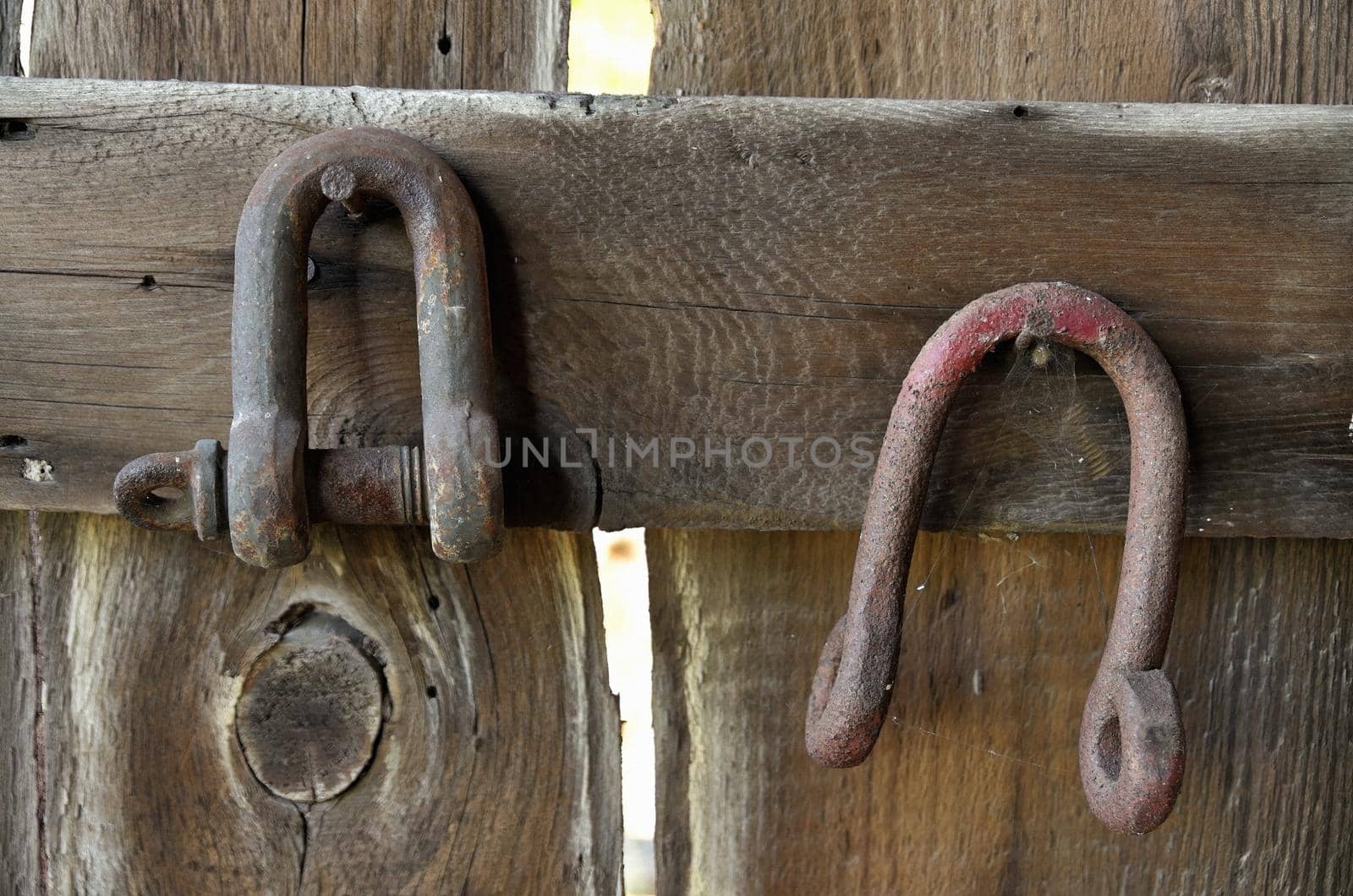 Vintage rusty U bolts hanging on nails in a barn by markvandam