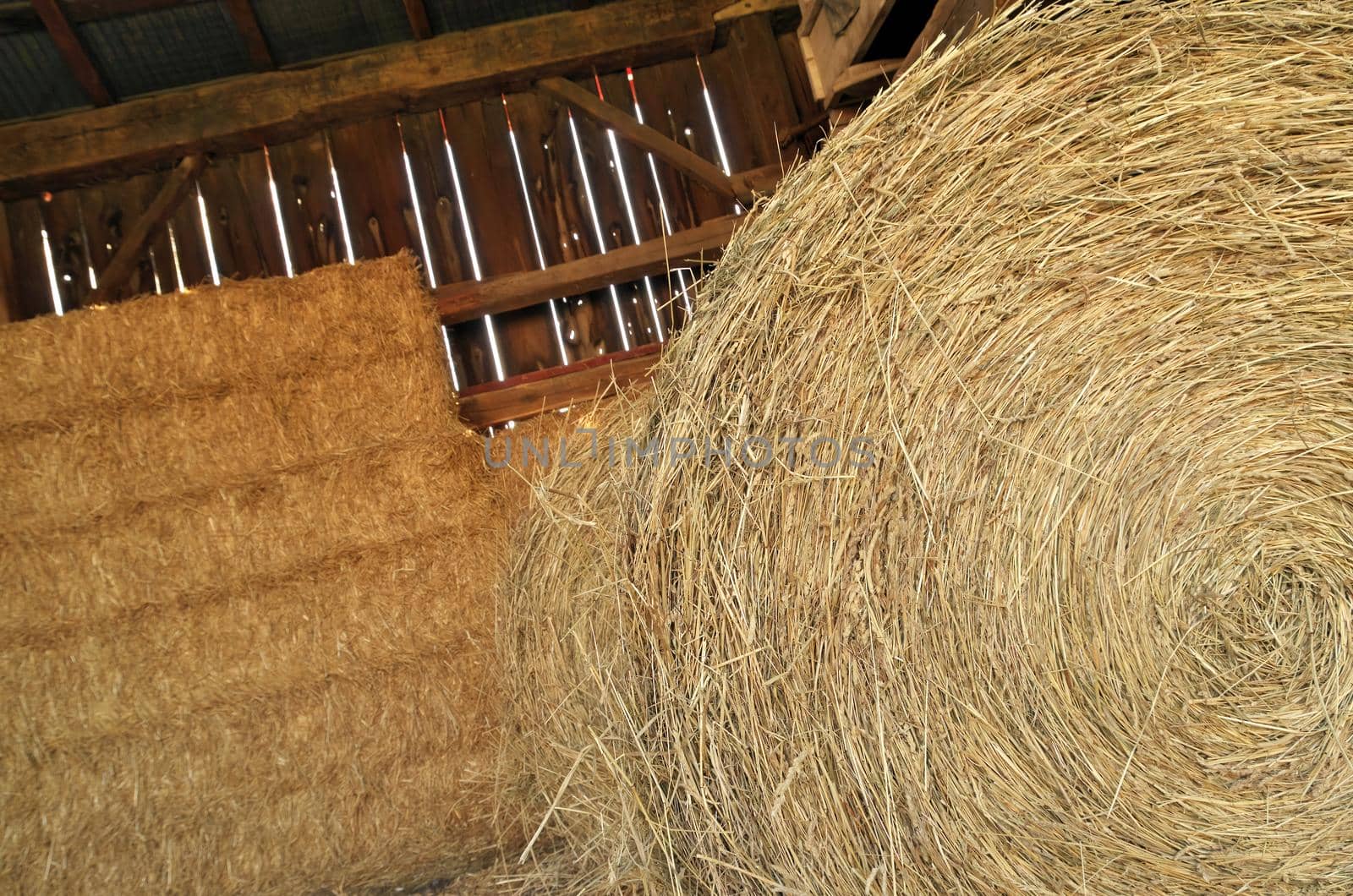 Close up of Round and Square Hay Bales in an old wooden Barn by markvandam