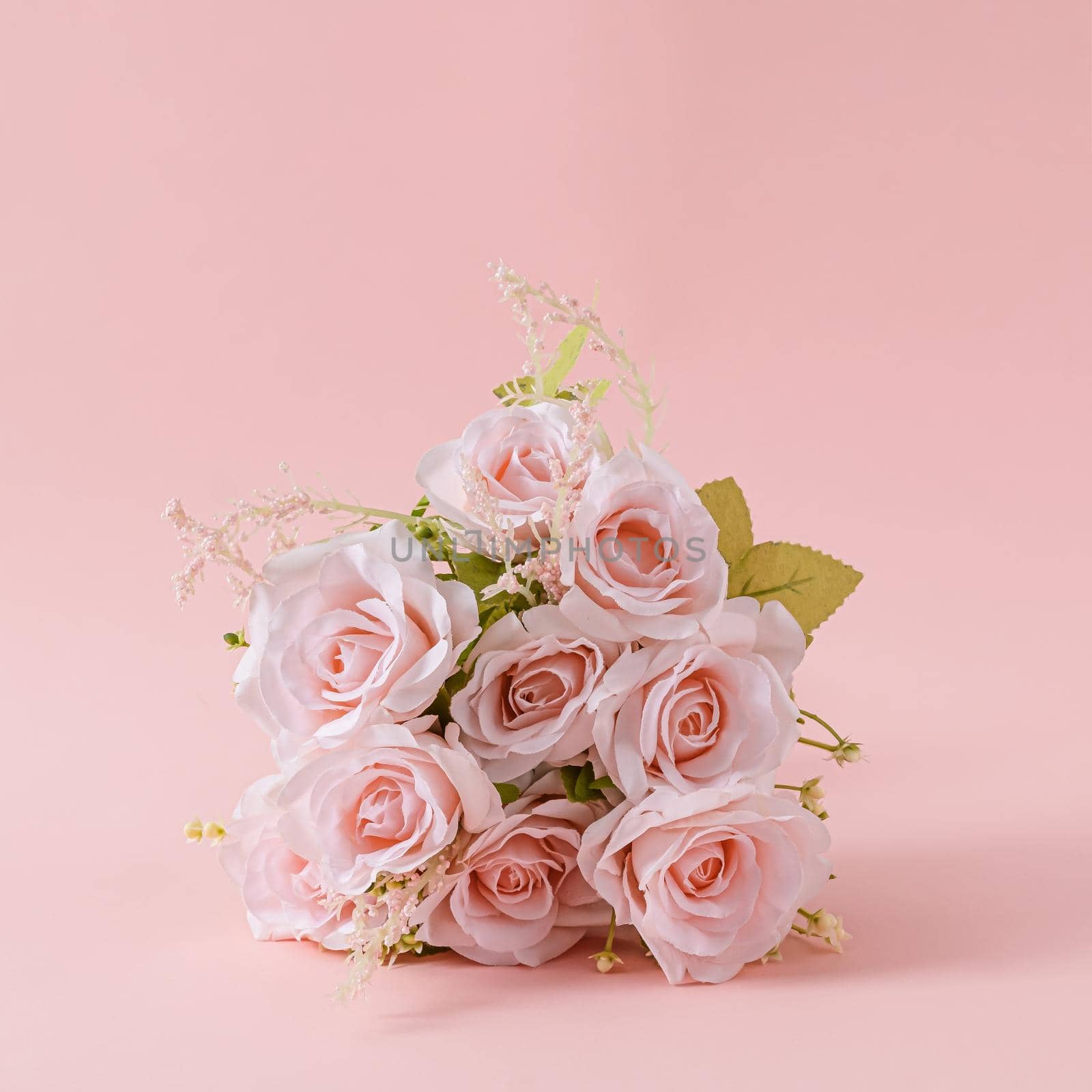 Bouquet of fresh pink roses on a square pink background as a greeting card for your sweetheart or loved one