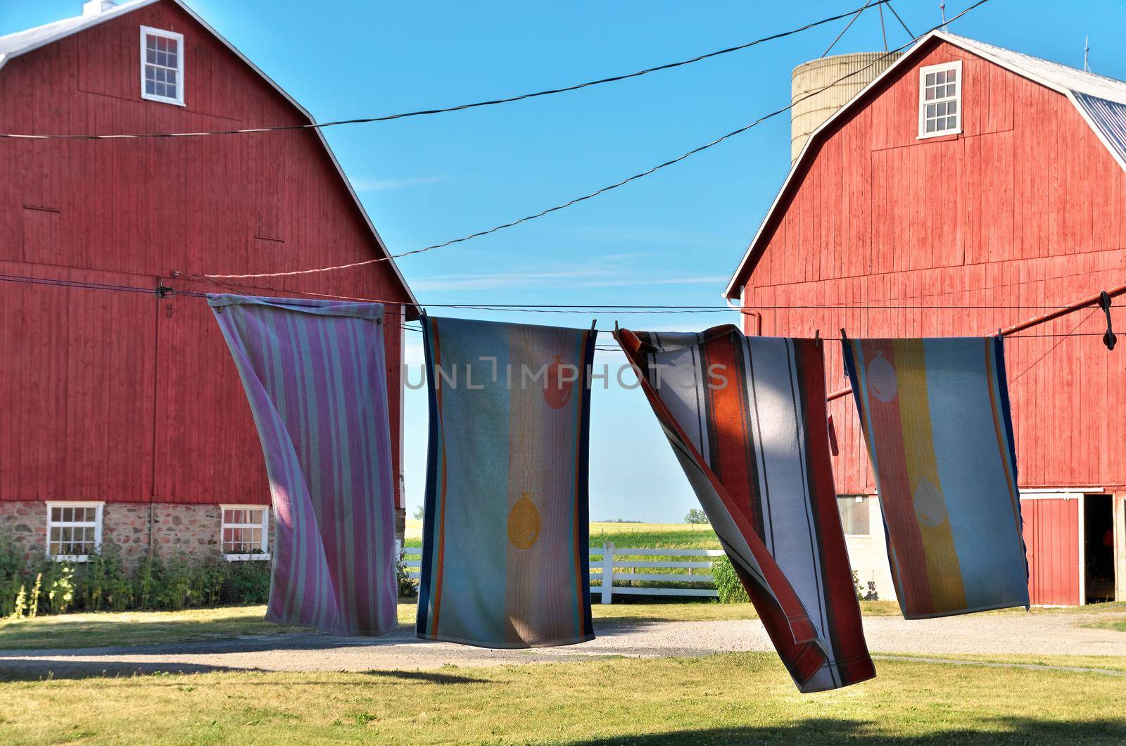 Towels Drying on a Clothesline at a Rural Farm in Ontario by markvandam