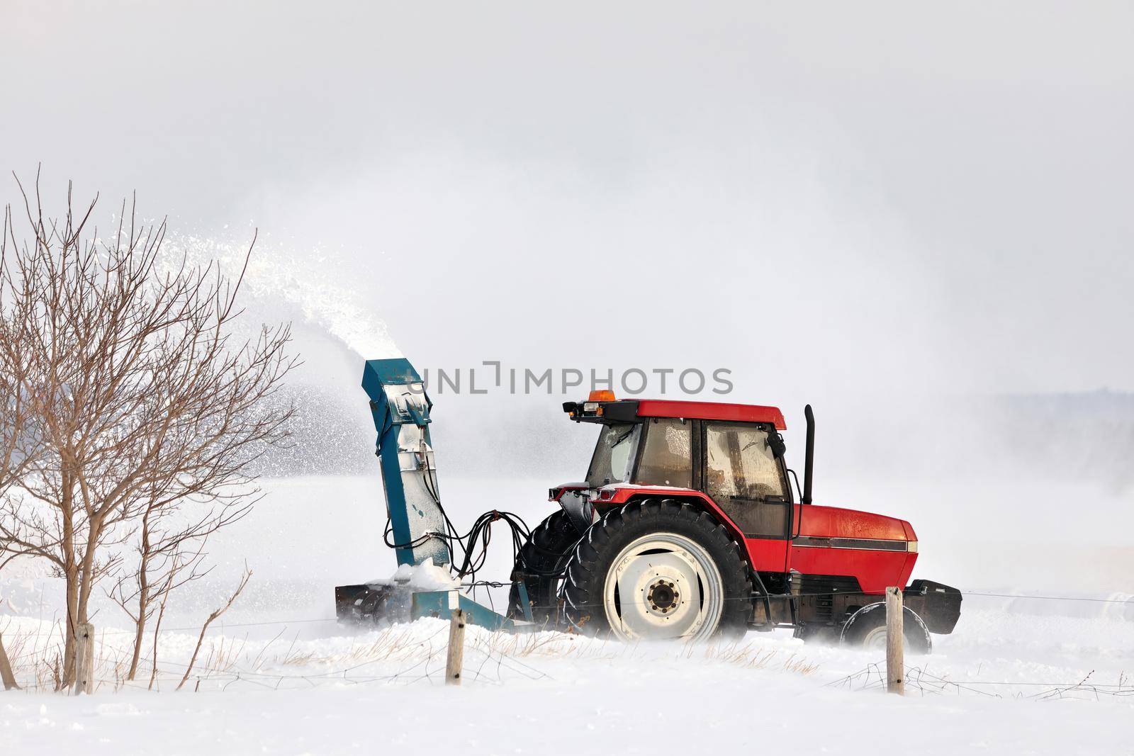 Red Tractor Snow Blowing a Driveway in a Rural Setting by markvandam