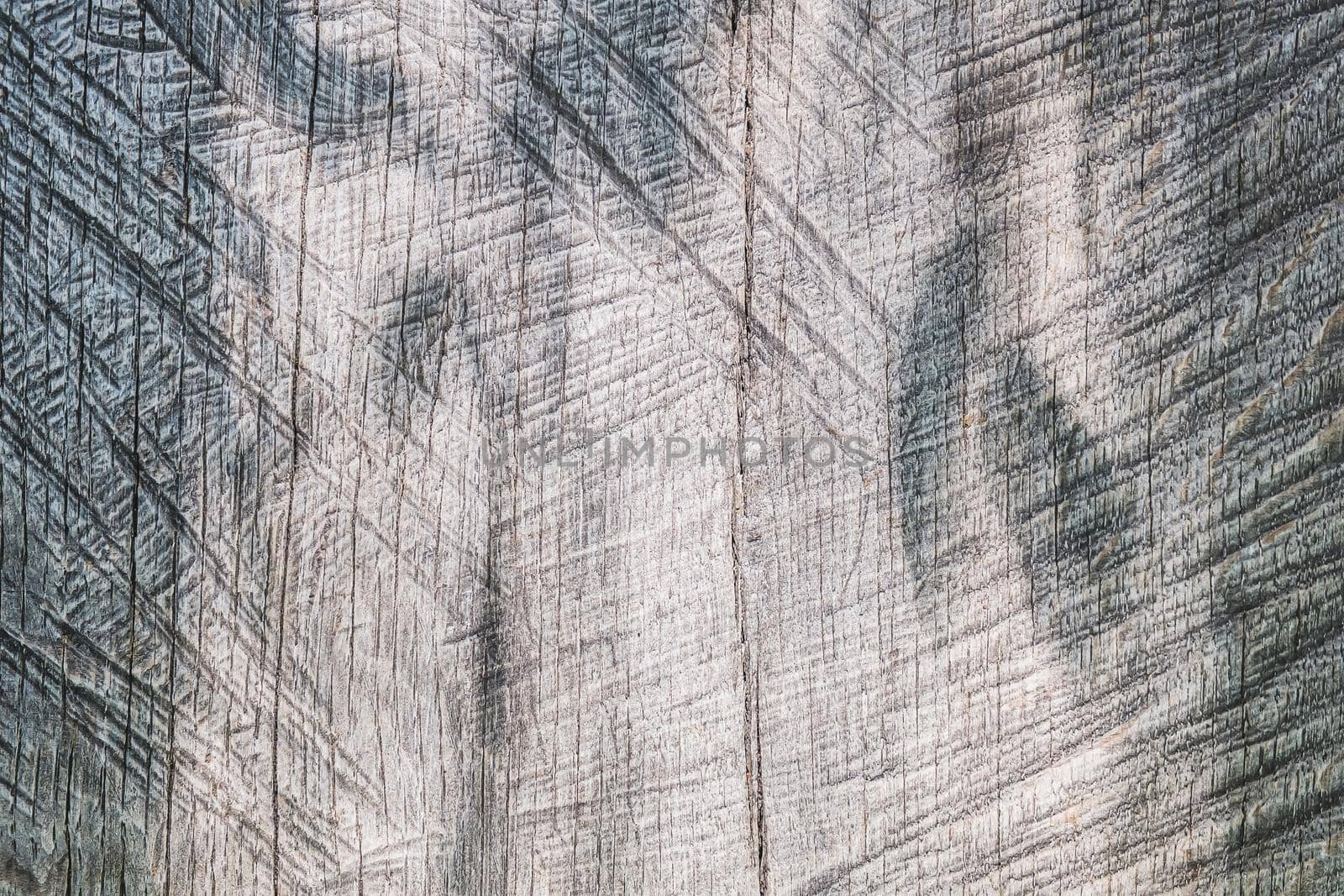 Rustic old wood plank texture for background and design concepts. the shadow of the foliage on the wooden board. gray. Horizontal. background