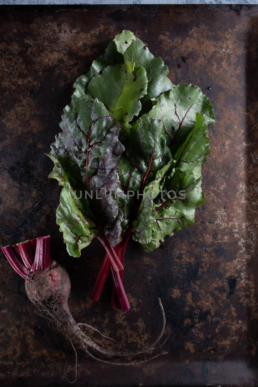 ugly food. Beets and beet leaves on a rusty beautiful metal surface. close-up. vertical orientation. flat lay. top view.