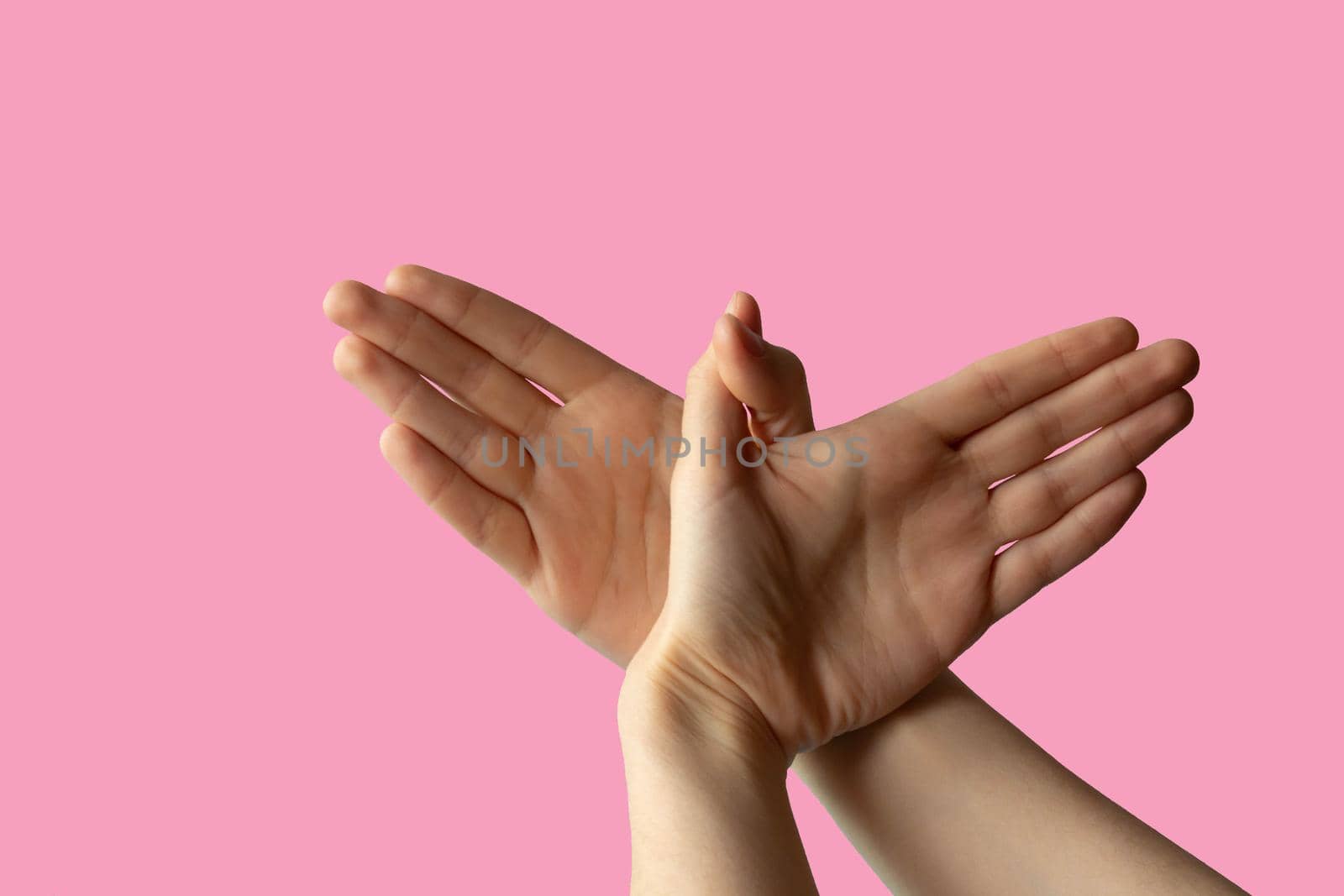 Silhouette of a hand gesture similar to a bird flying on a pink background.