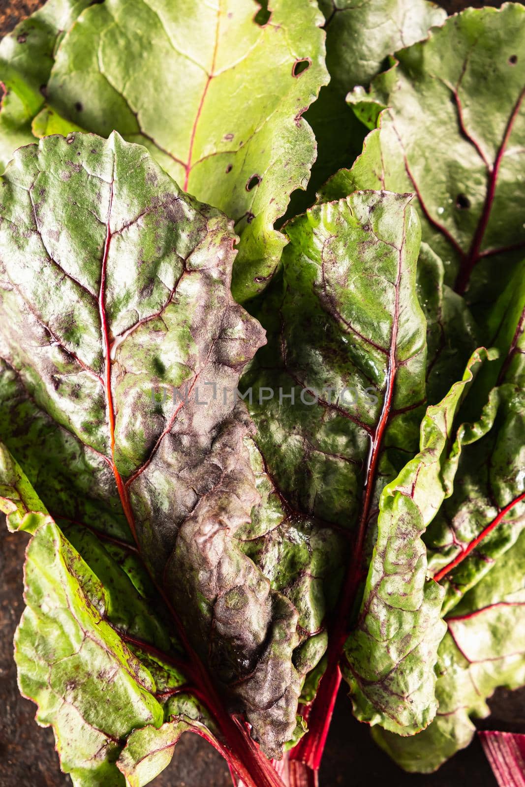 ugly food. Beets and beet leaves on a rusty beautiful metal surface. close-up. vertical orientation.