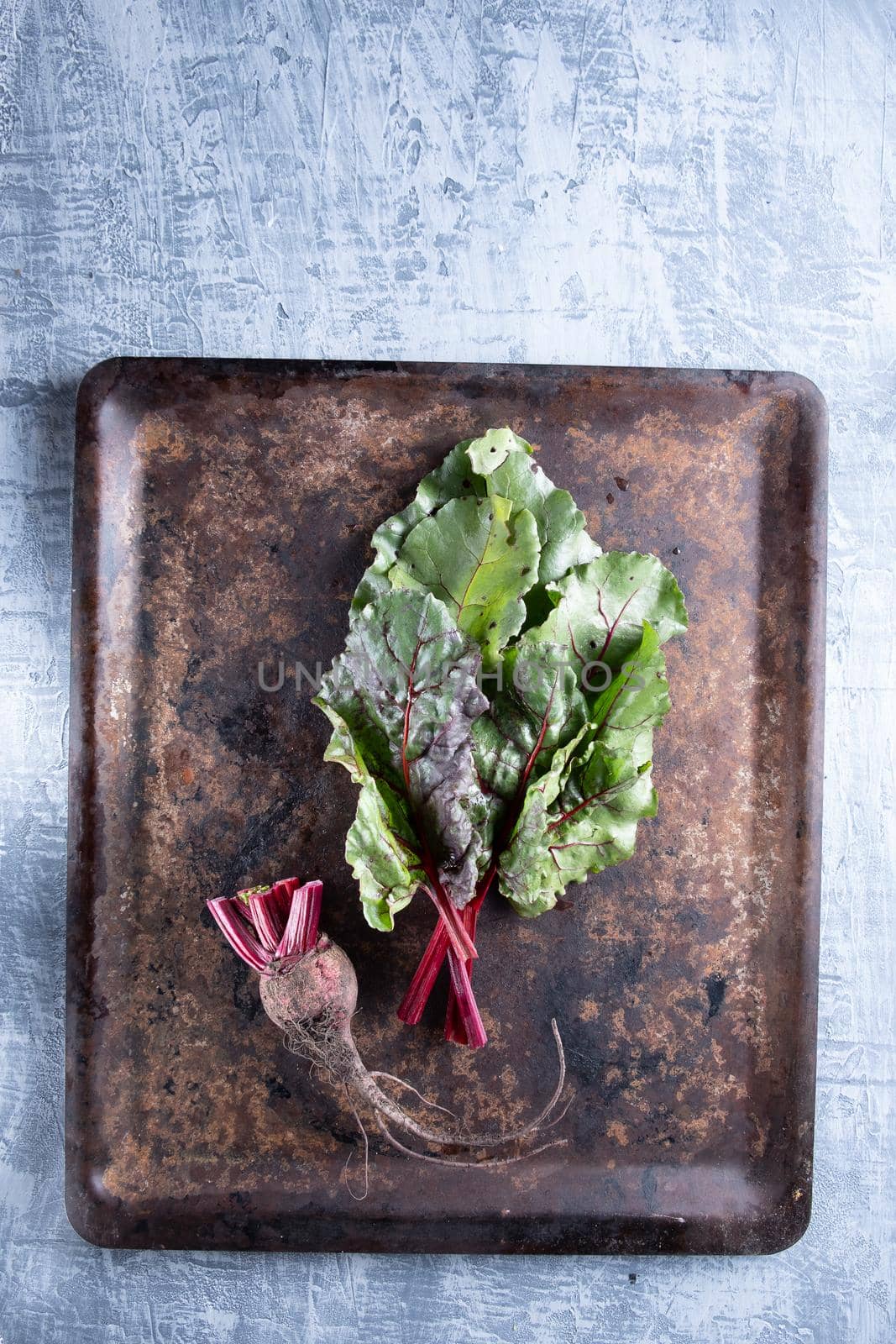 ugly food. Beets and beet leaves on a rusty beautiful metal surface. close-up. vertical orientation.