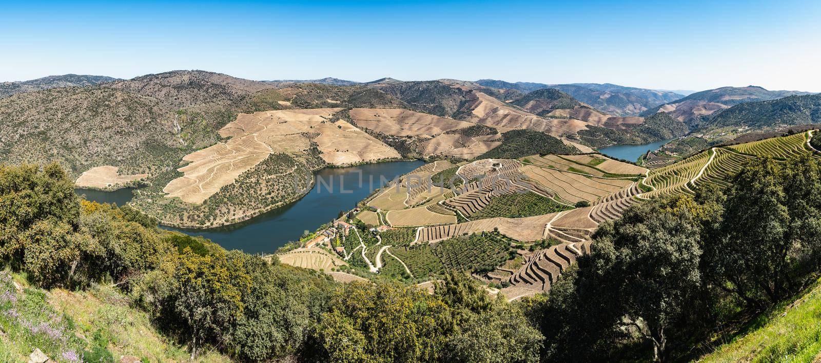 Viewpoint of Vargelas allows to see a vast landscape on the Douro and its man-made slopes. Douro Region, famous Port Wine Region, Portugal.