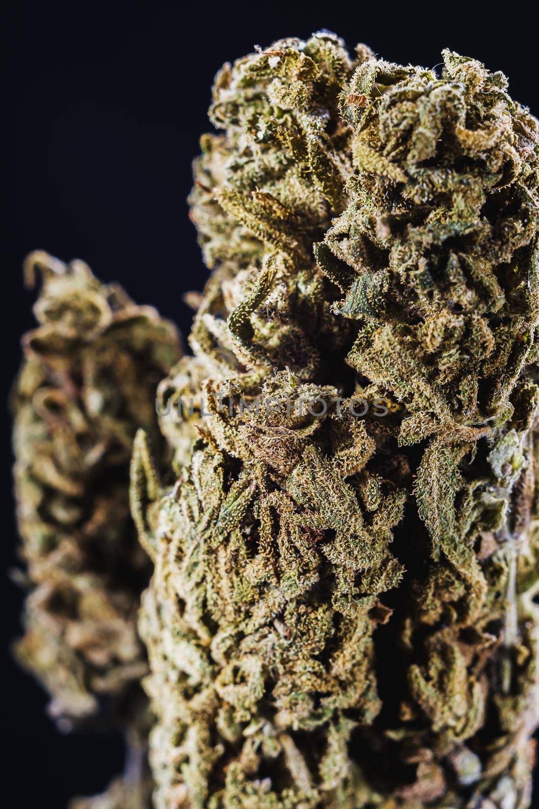 Medical marijuana bud. Cannabis flower strain. Indica, sativa, hybrid. Weed flower. Pictures for dispensary menu. Medical marijuana dried flower buds. Recreational marijuana strain. Dark background. Vertical orientation