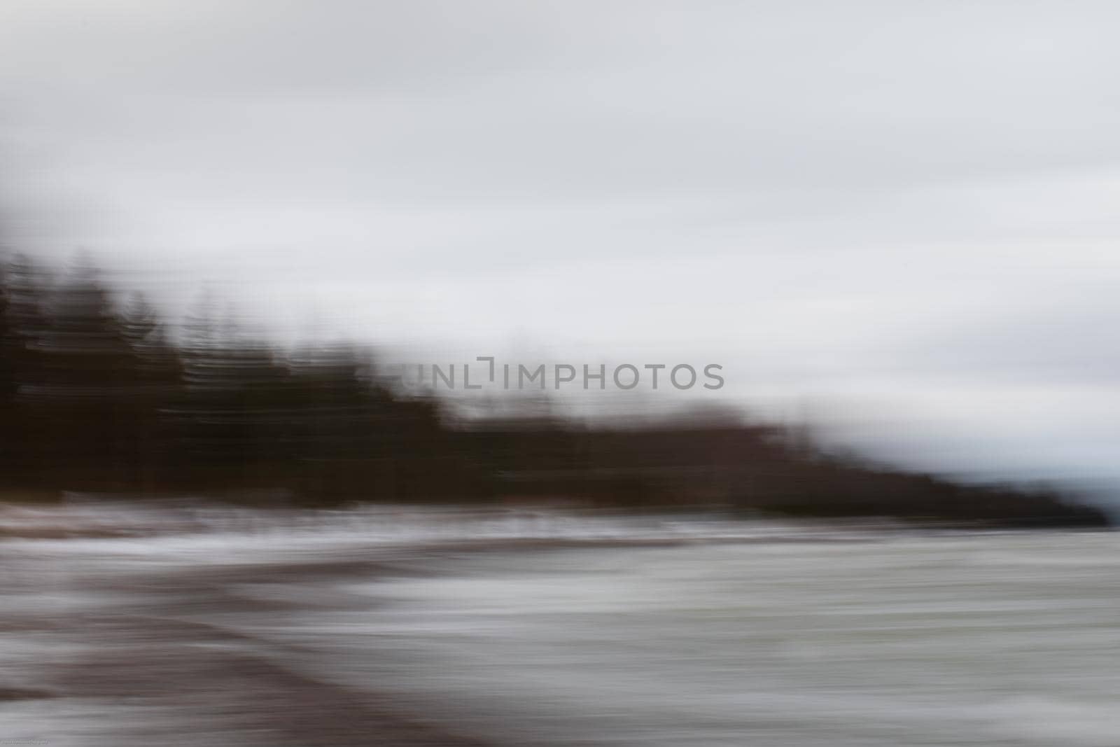 Intentional camera motion photo of trees on a beach. Near Southampton, Ontario, Canada