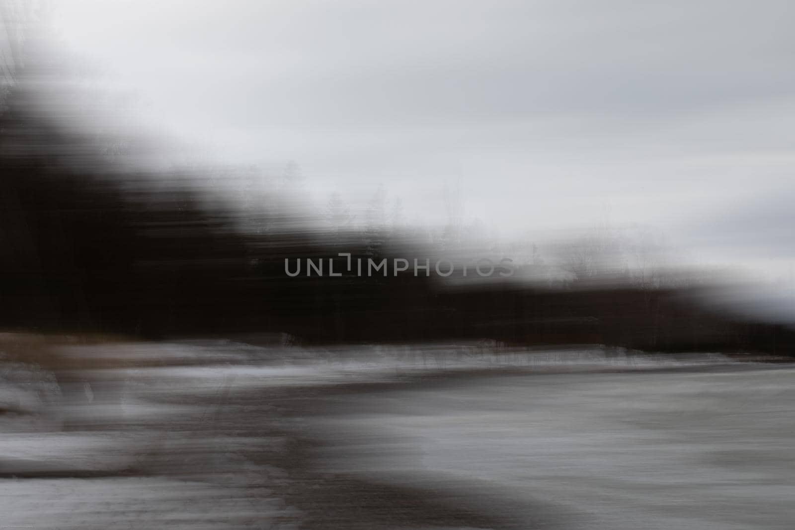 Abstract photo of trees on a beach by Granchinho