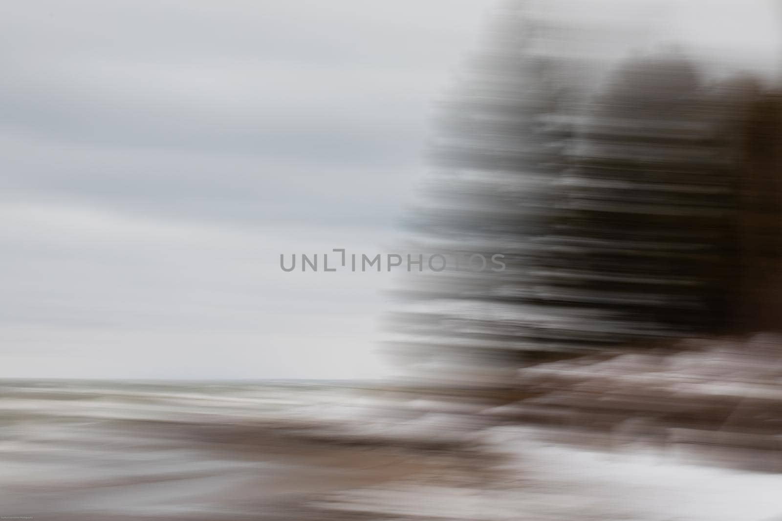 Intentional camera motion photograph of trees on a beach. Near Southampton, Ontario, Canada