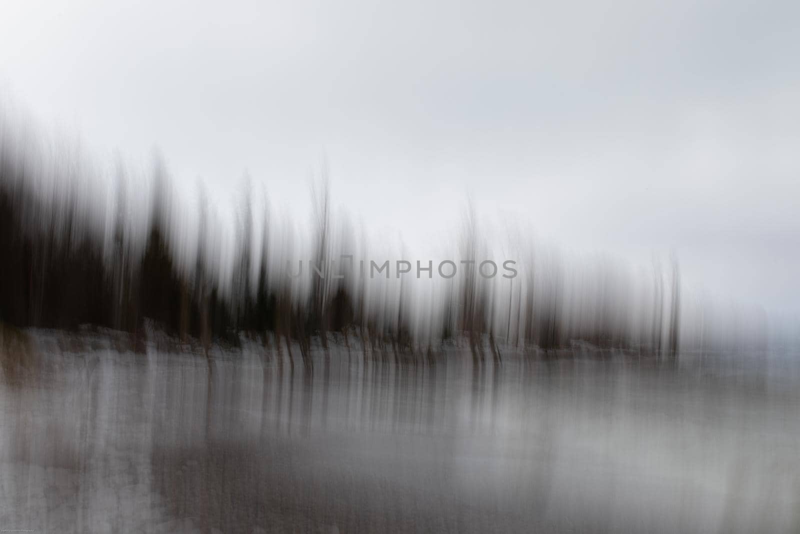 Intentional camera motion photo of trees on a beach. Near Southampton, Ontario, Canada