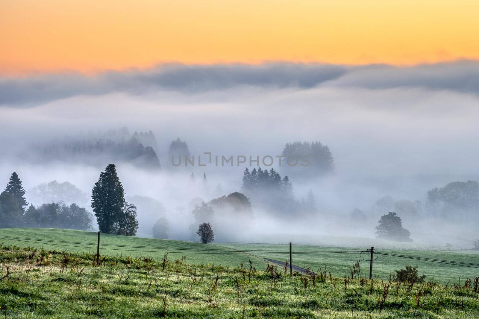 A foggy landscape before sunrise seen in Bavaria, Germany