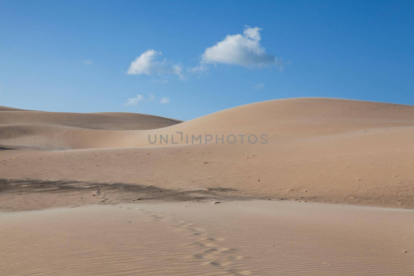 Dunes in Bolonia, Andalusia, Spain. This dune is over 30 metres high and 200 metres wide.