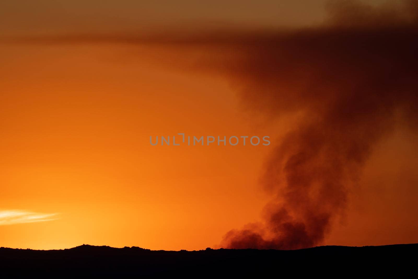 Fire smoke over the orange horizon at sunset with text space