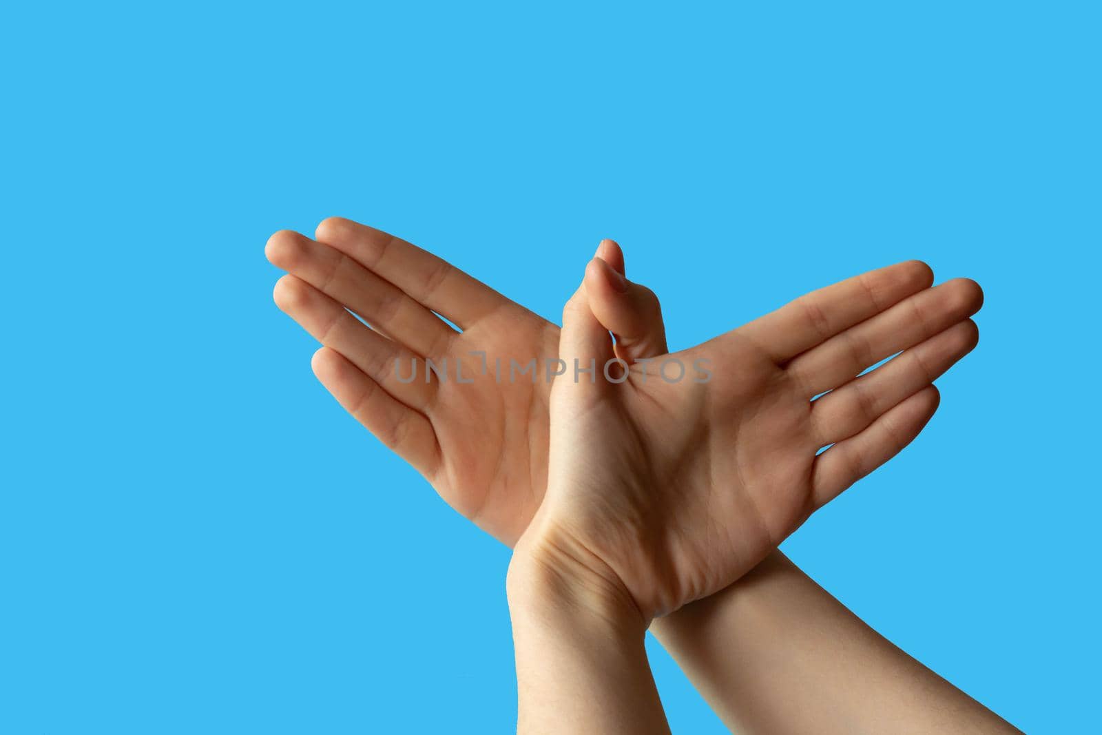 Silhouette of a hand gesture similar to a bird flying on a blue background by lapushka62