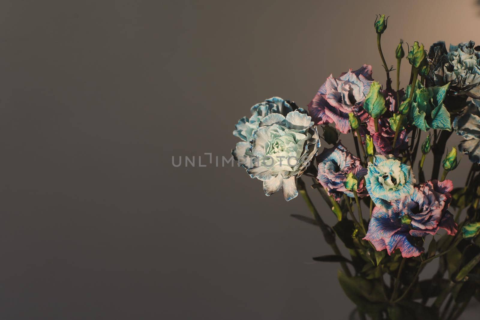 blue and purple flowers isolated on dark background with copyspace.