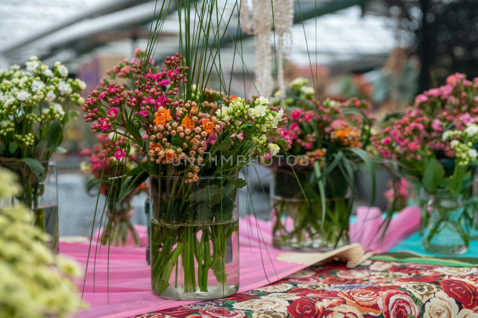 Different types of Kalanchoe in the glass vases