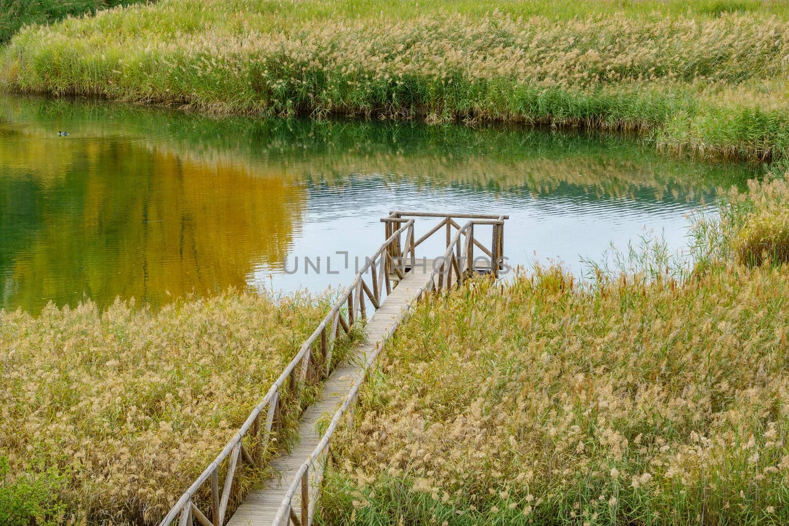 Long shot of empty pier over lake