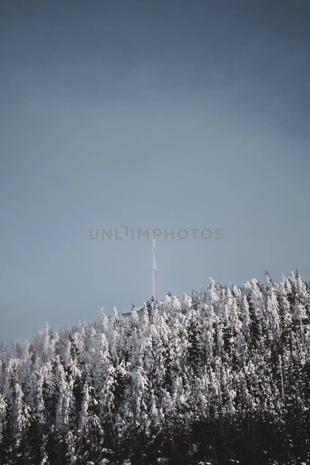 Transmitter at the Top of the Mountain With Snowy Trees and Blue Sky in Czech Republic. High quality photo