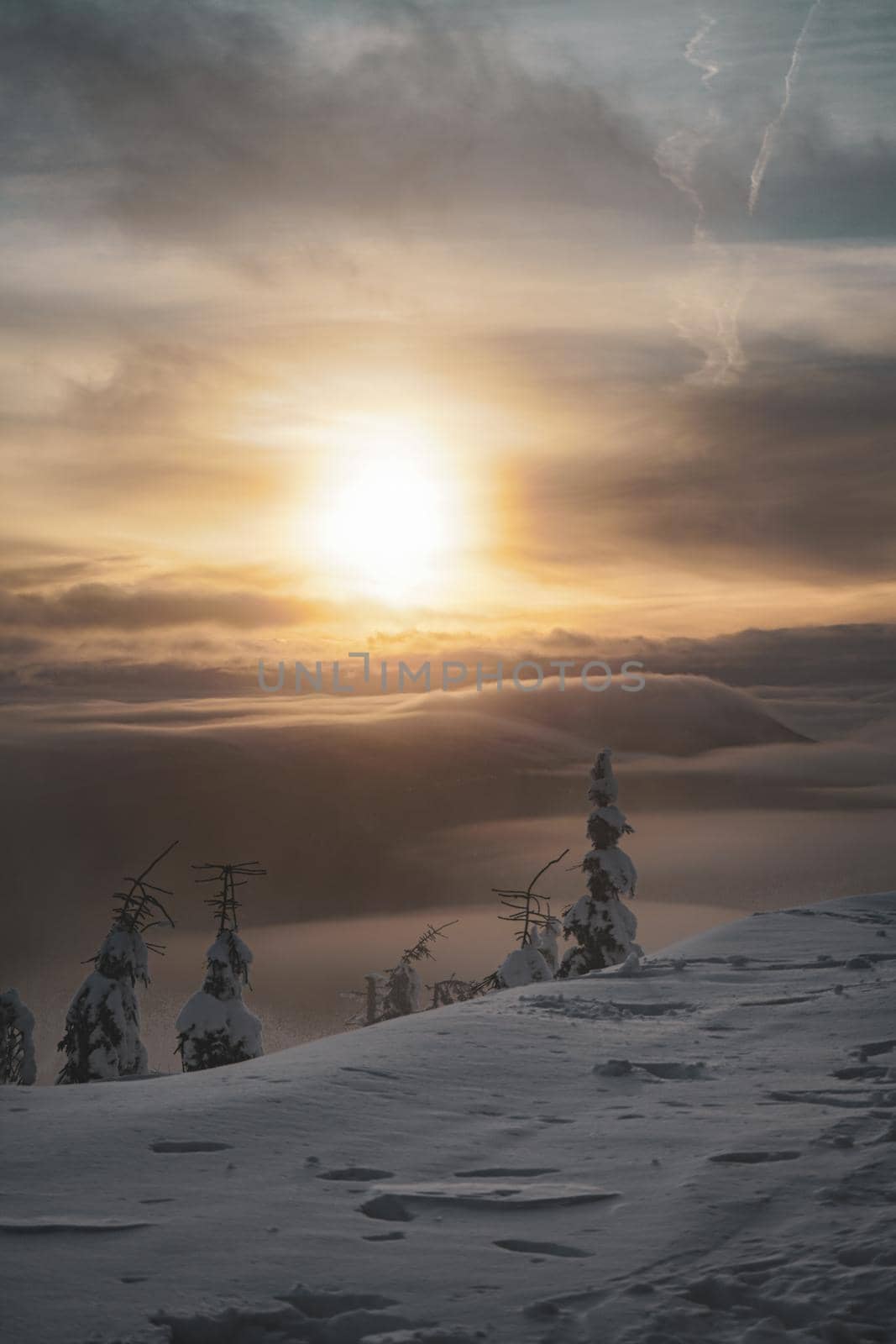 Mountain Peak Sunset With Inversion Low Clouds and Frozen Trees. High quality photo