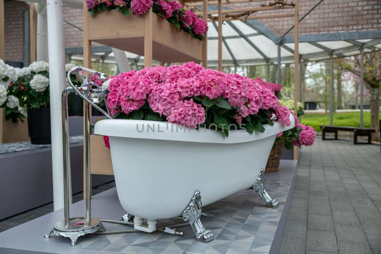 Vintage bath filled with pink hydrangea