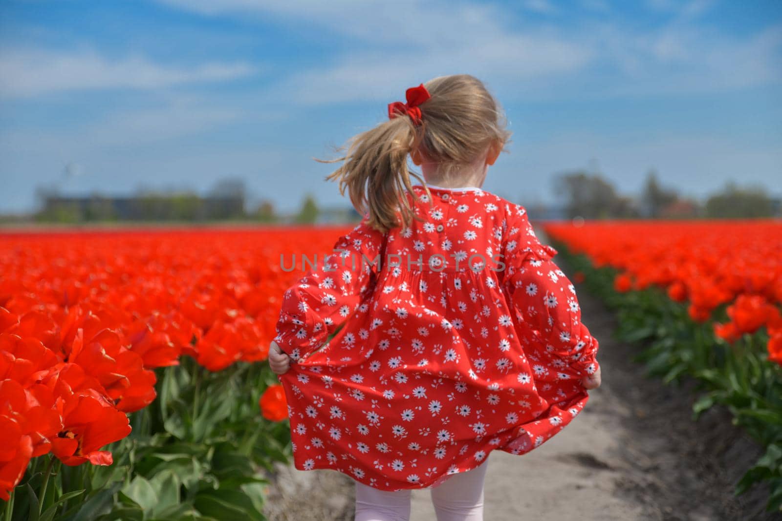Happy girl running in a red tulip field