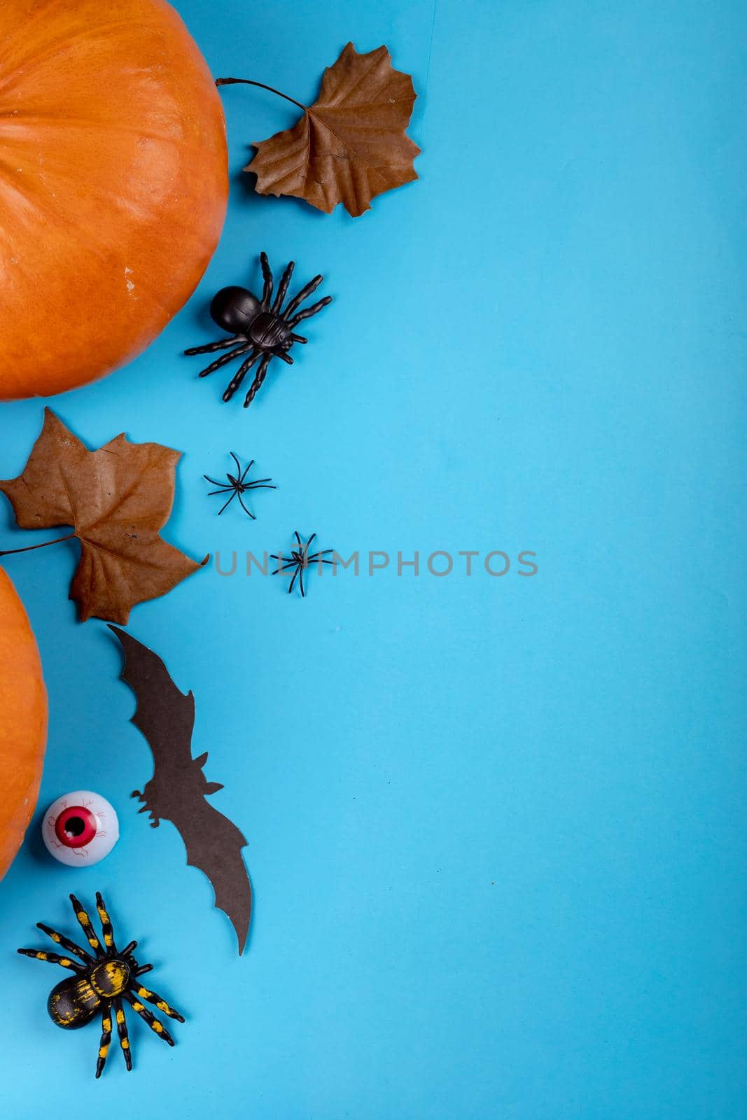Composition of halloween decoration with pumpkin, spiders and copy space on blue background by Wavebreakmedia