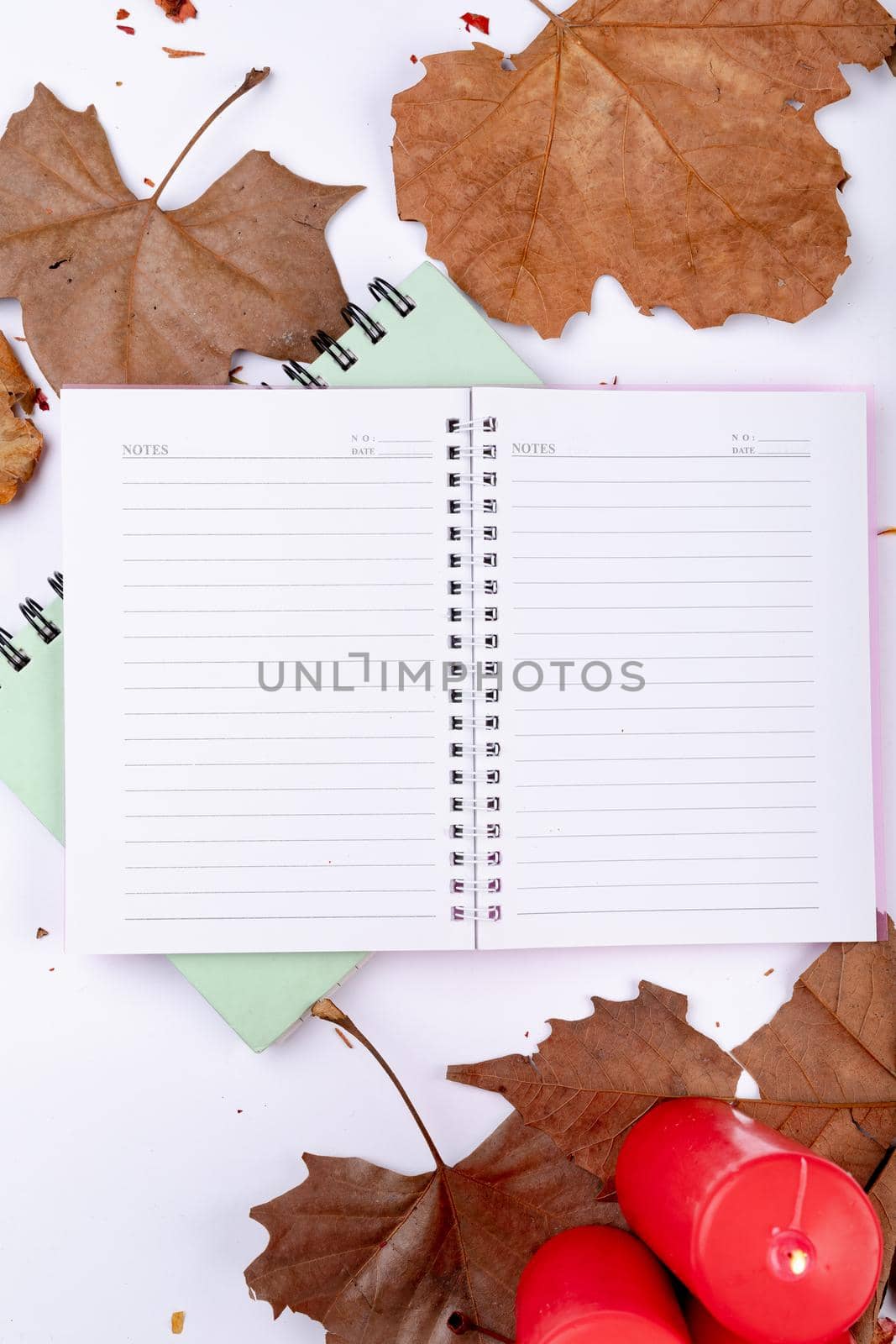 Composition of halloween decoration with leaves and notebook with copy space on white background by Wavebreakmedia