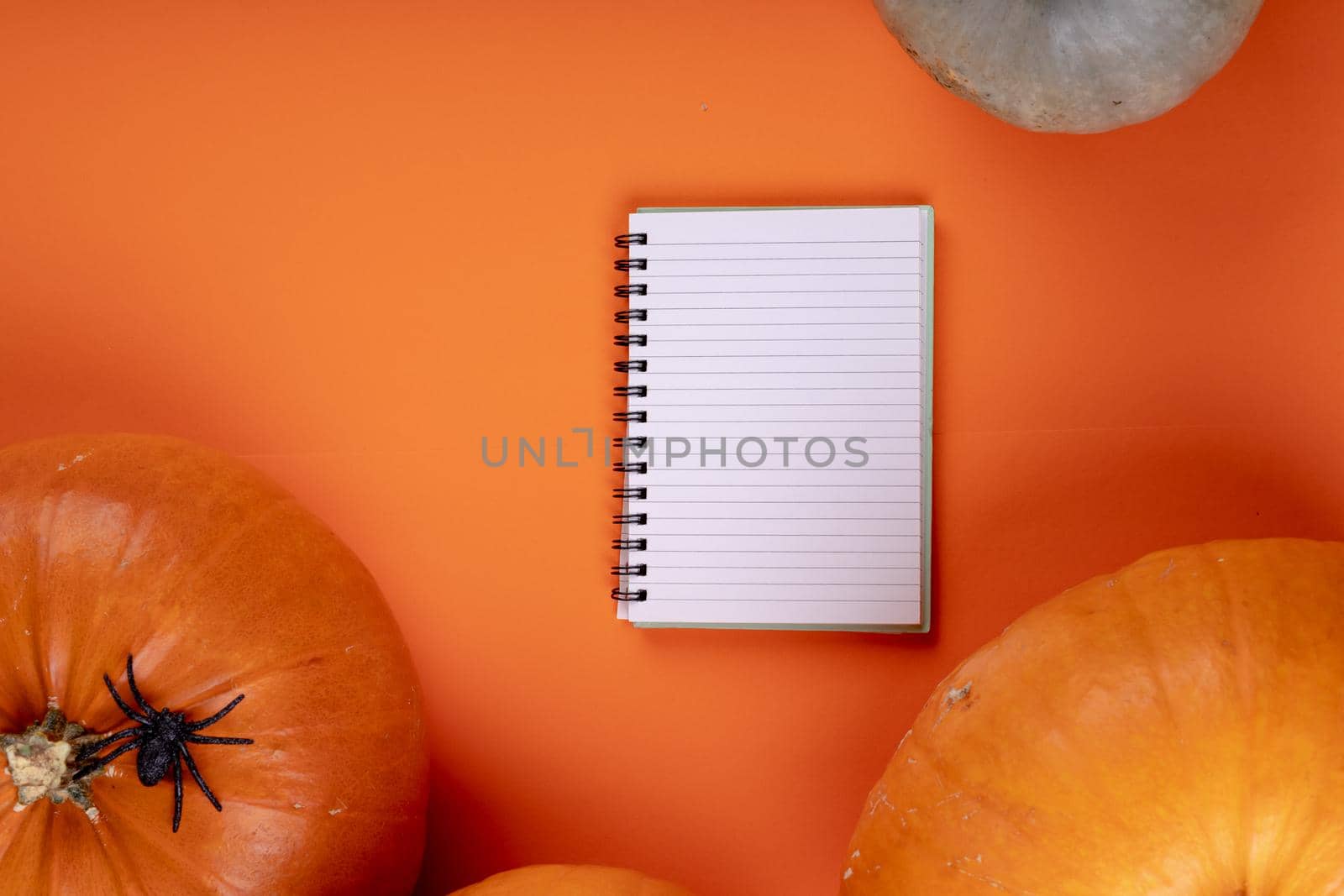 Composition of halloween decoration with pumpkins and notebook with copy space on orange background. horror, fright, halloween tradition and celebration concept digitally generated image.