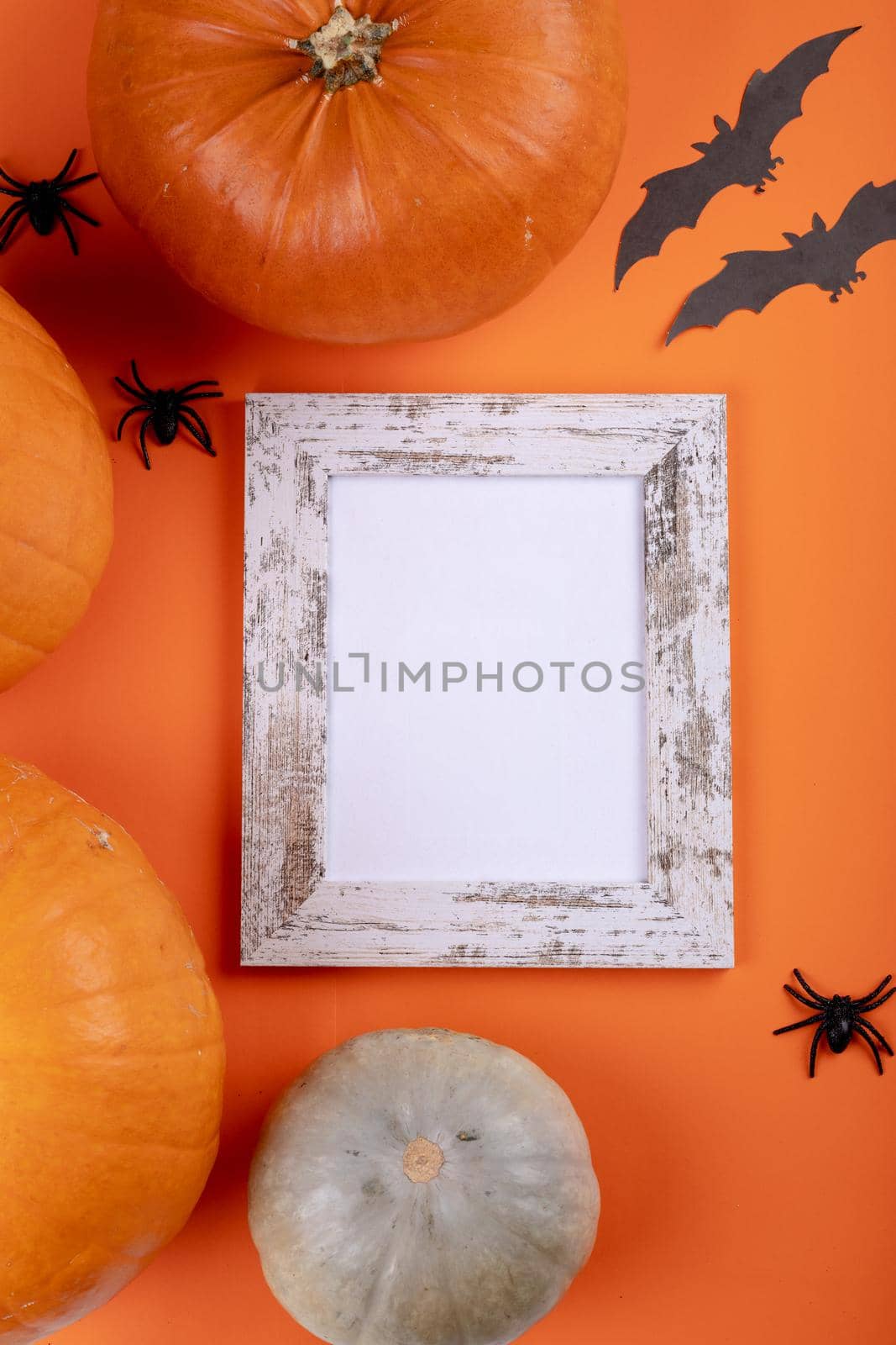 Composition of halloween decoration with pumpkins and frame with copy space on orange background. horror, fright, halloween tradition and celebration concept digitally generated image.