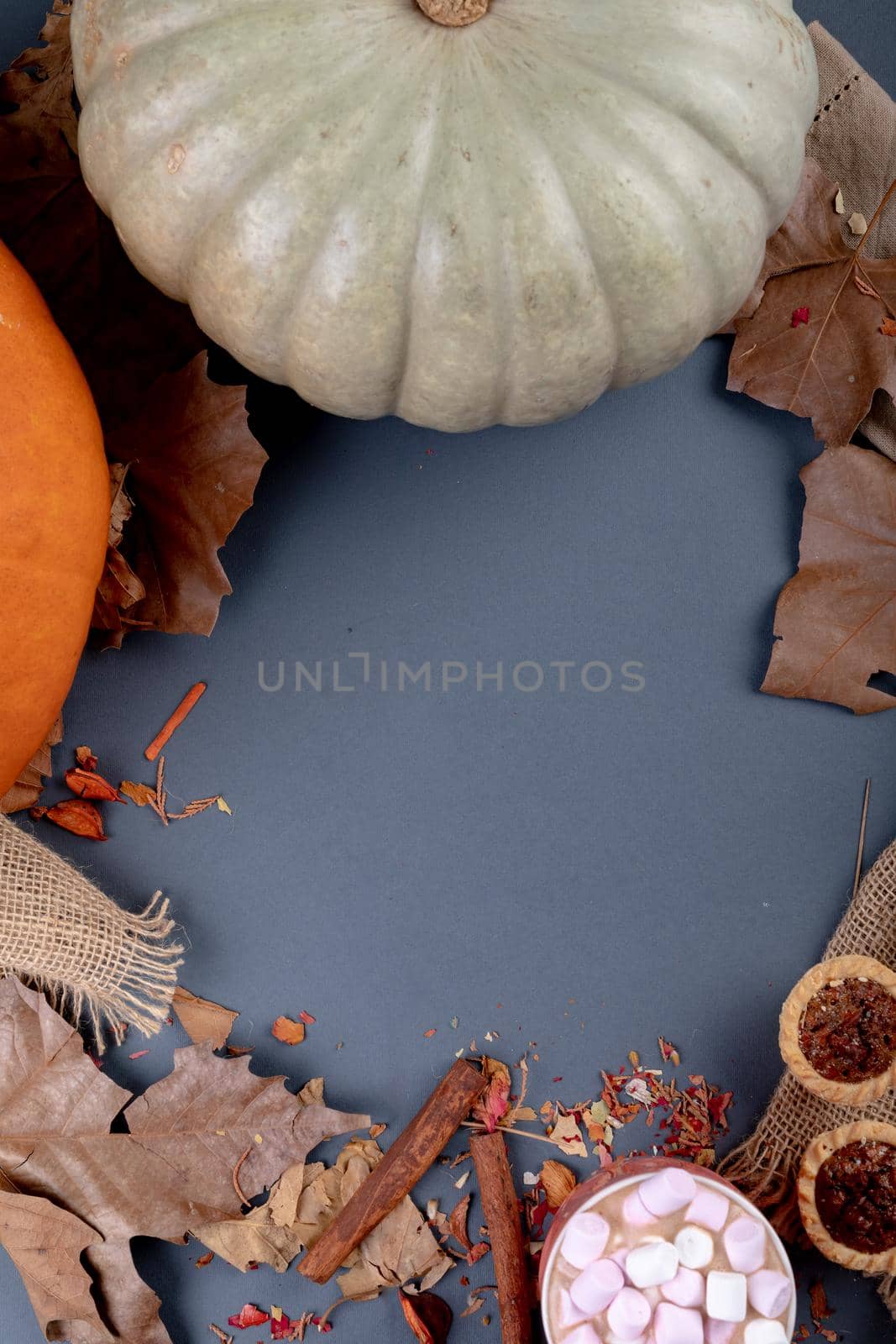 Composition of halloween decoration with pumpkin and leaves with copy space on grey background by Wavebreakmedia
