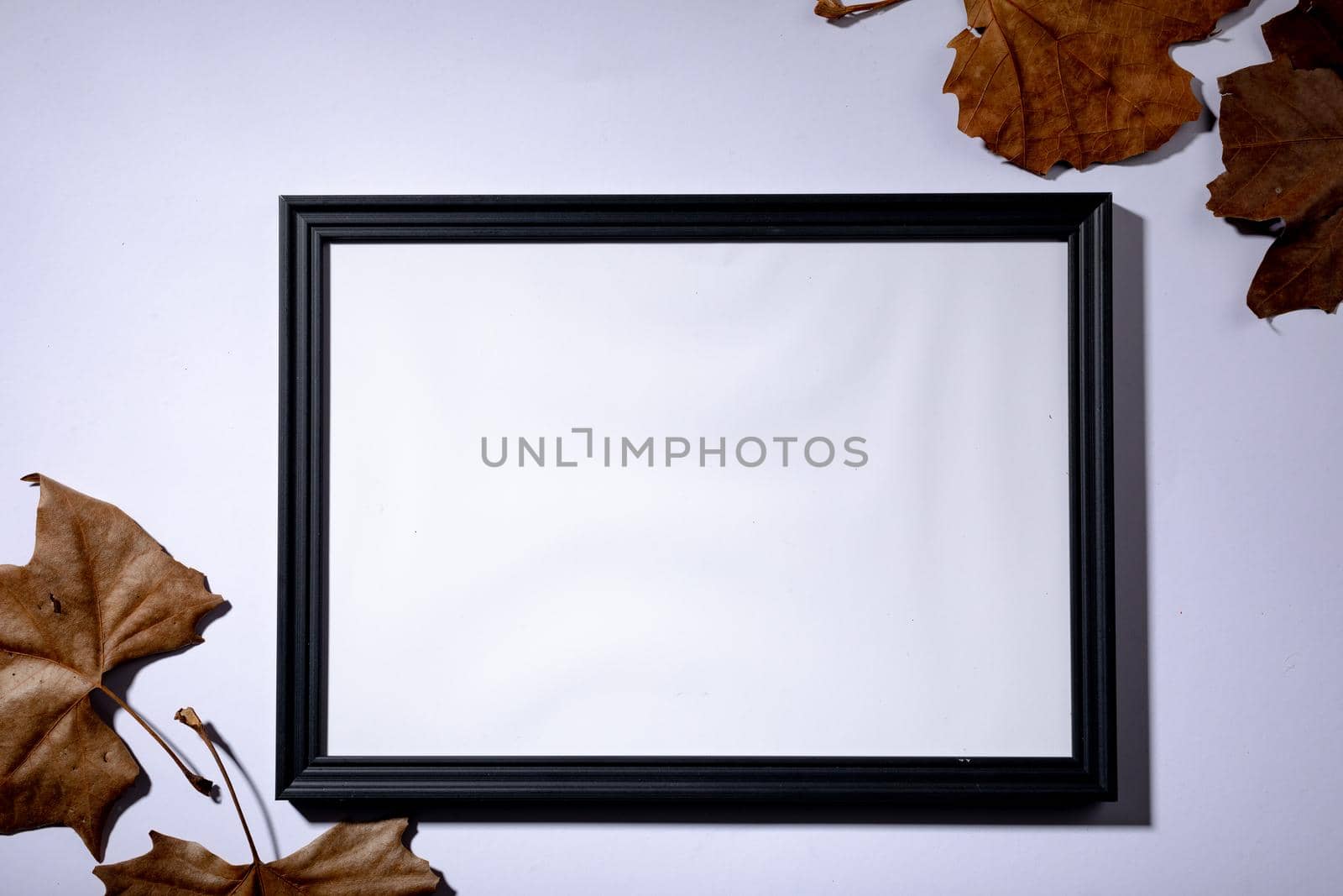 Composition of halloween decoration with leaves and frame with copy space on white background. halloween tradition and celebration concept digitally generated image.