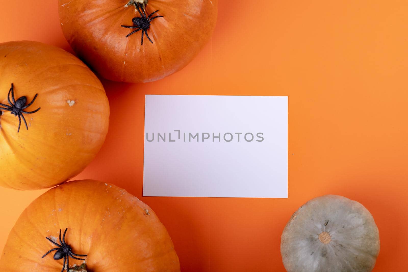 Composition of halloween decoration with pumpkins and sheet with copy space on orange background. horror, fright, halloween tradition and celebration concept digitally generated image.