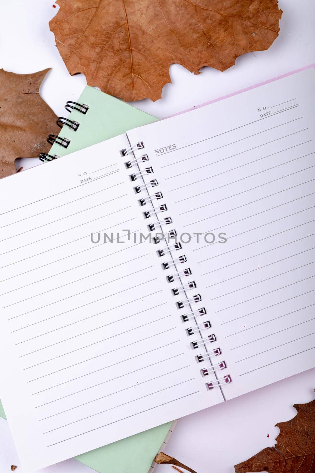 Composition of halloween decoration with leaves and notebook with copy space on white background by Wavebreakmedia