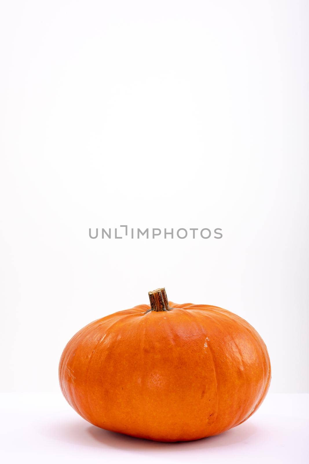 Composition of halloween decoration with pumpkin and copy space on white background by Wavebreakmedia