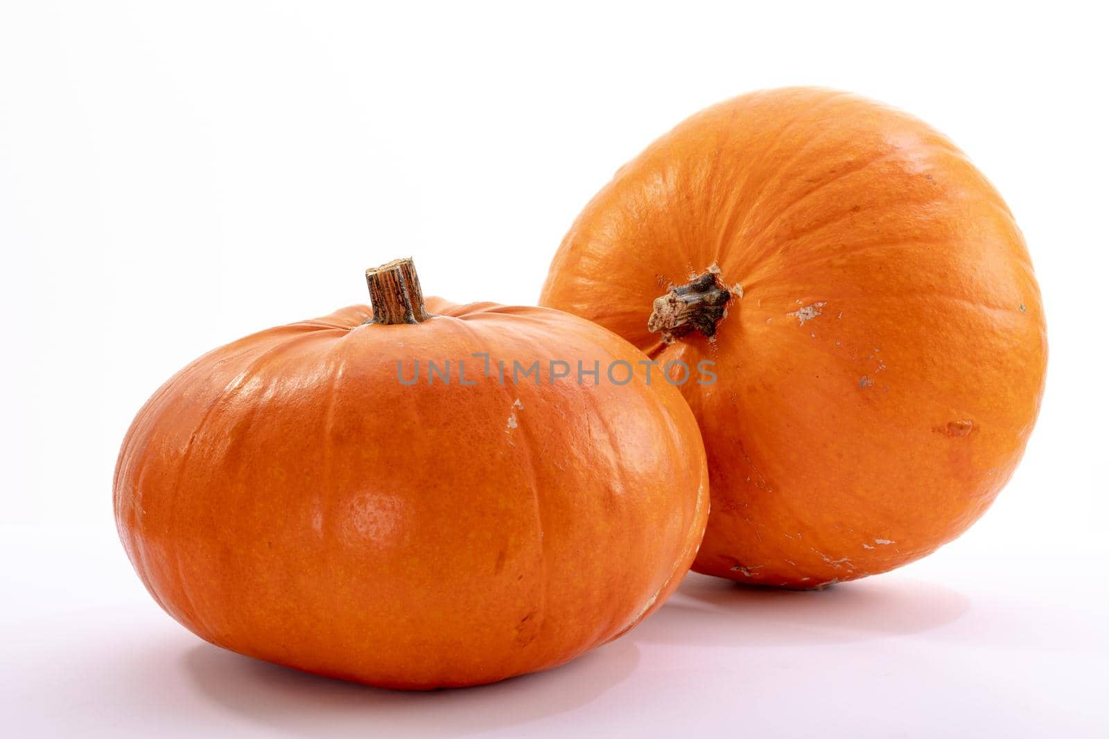 Composition of halloween decoration with pumpkins and copy space on white background. horror, fright, halloween tradition and celebration concept digitally generated image.
