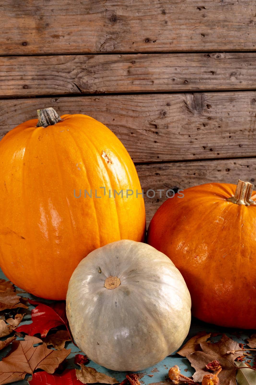 Composition of halloween decoration with pumpkins on wooden background. horror, fright, halloween tradition and celebration concept digitally generated image.